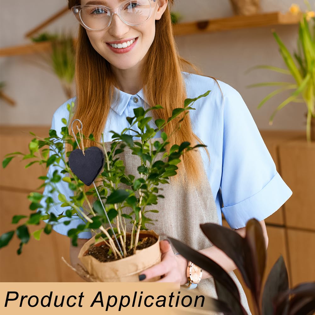 BENECREAT étiquettes plantes ardoise cœur x15 + stylo