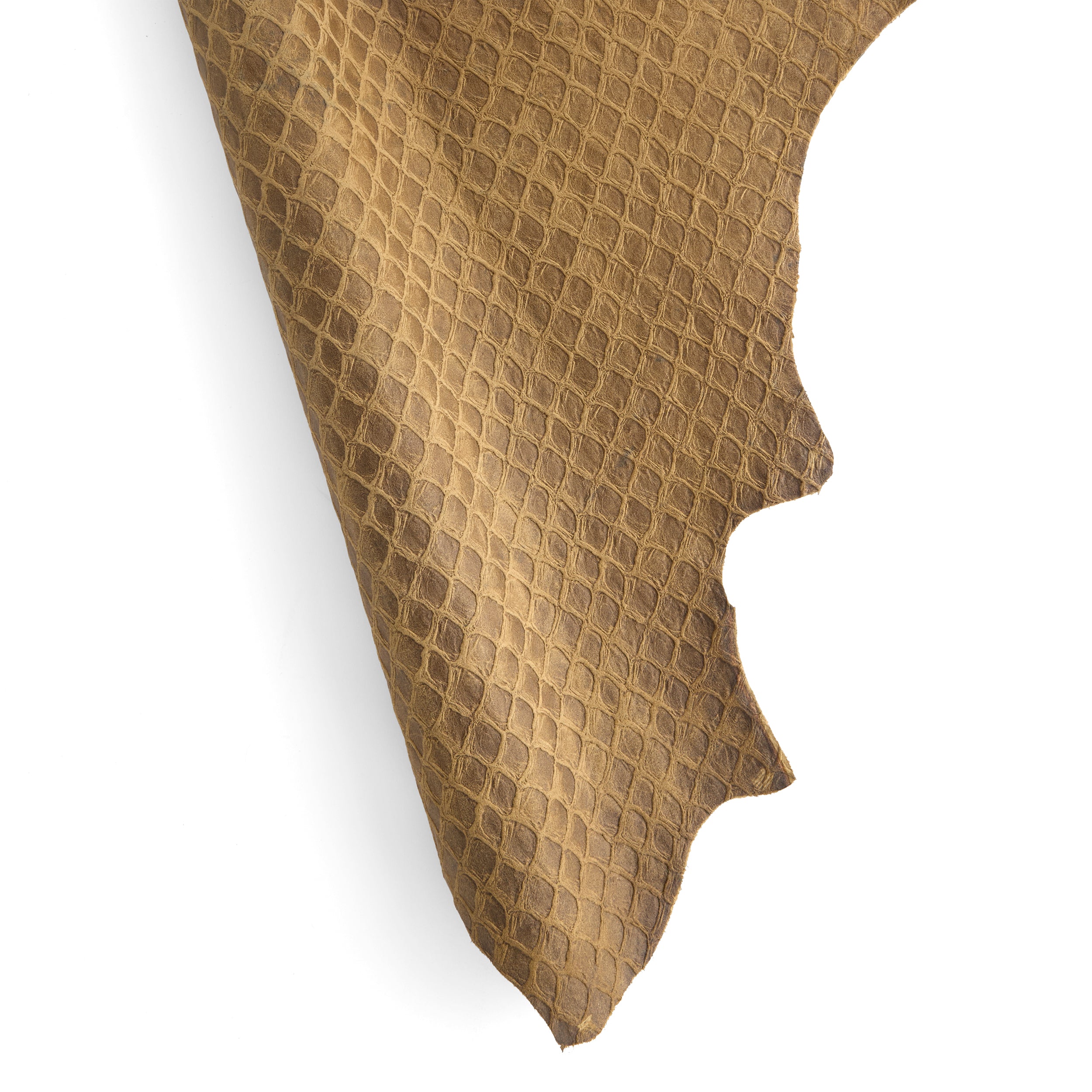 Tandy Leather Écailles double épaule cuir olive