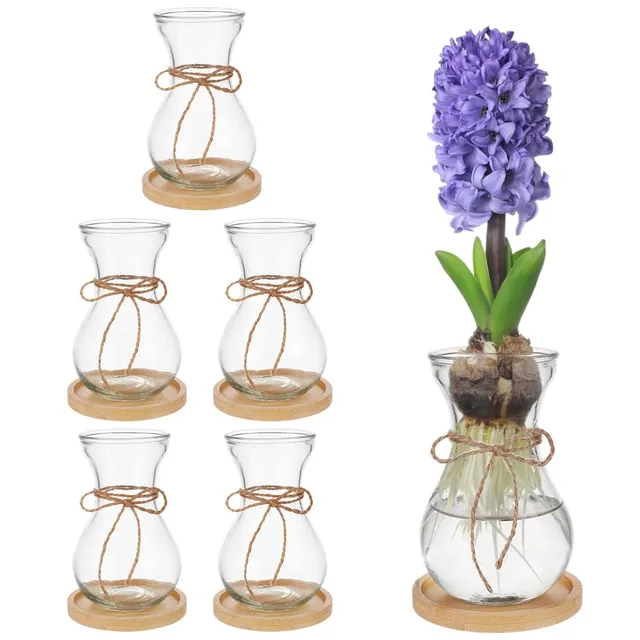 BENECREAT Vases Verre Jacinthe 85 mm Transparents x6