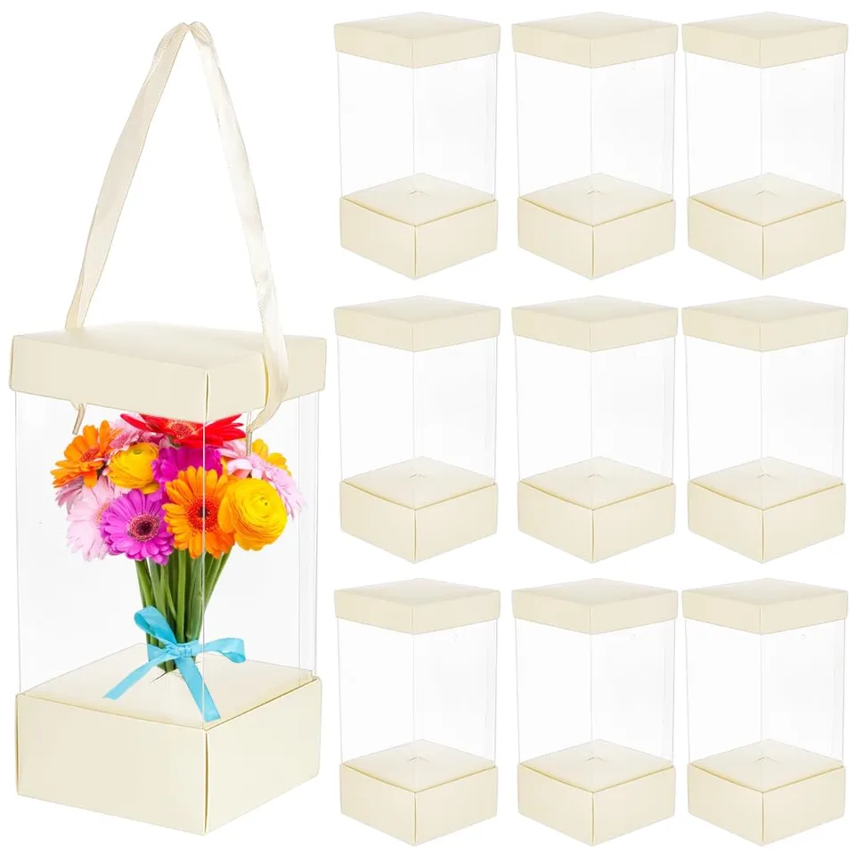 BENECREAT boîtes cadeau transparentes beiges lot 10