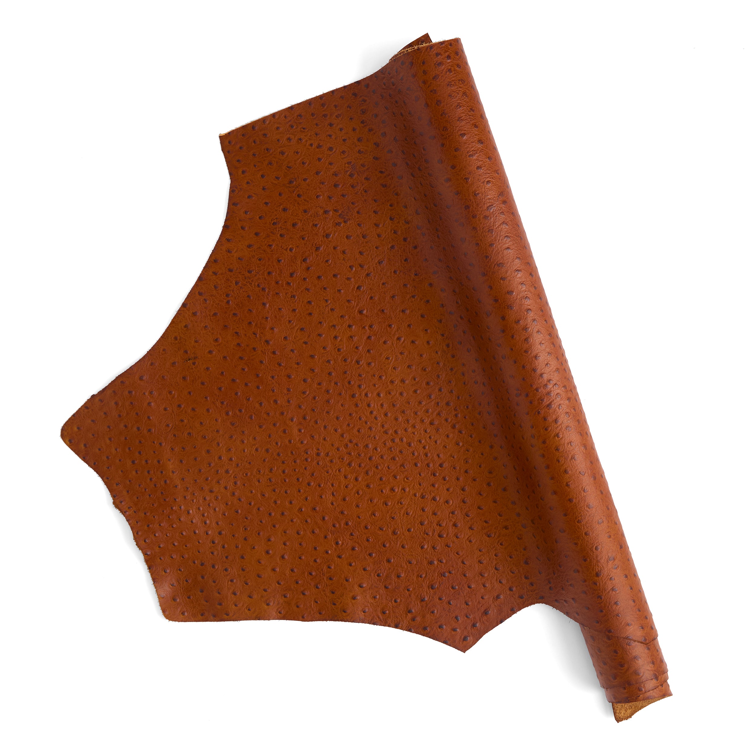 Tandy Leather épaule cuir autruche gaufré turquoise 5-8,5 pi²