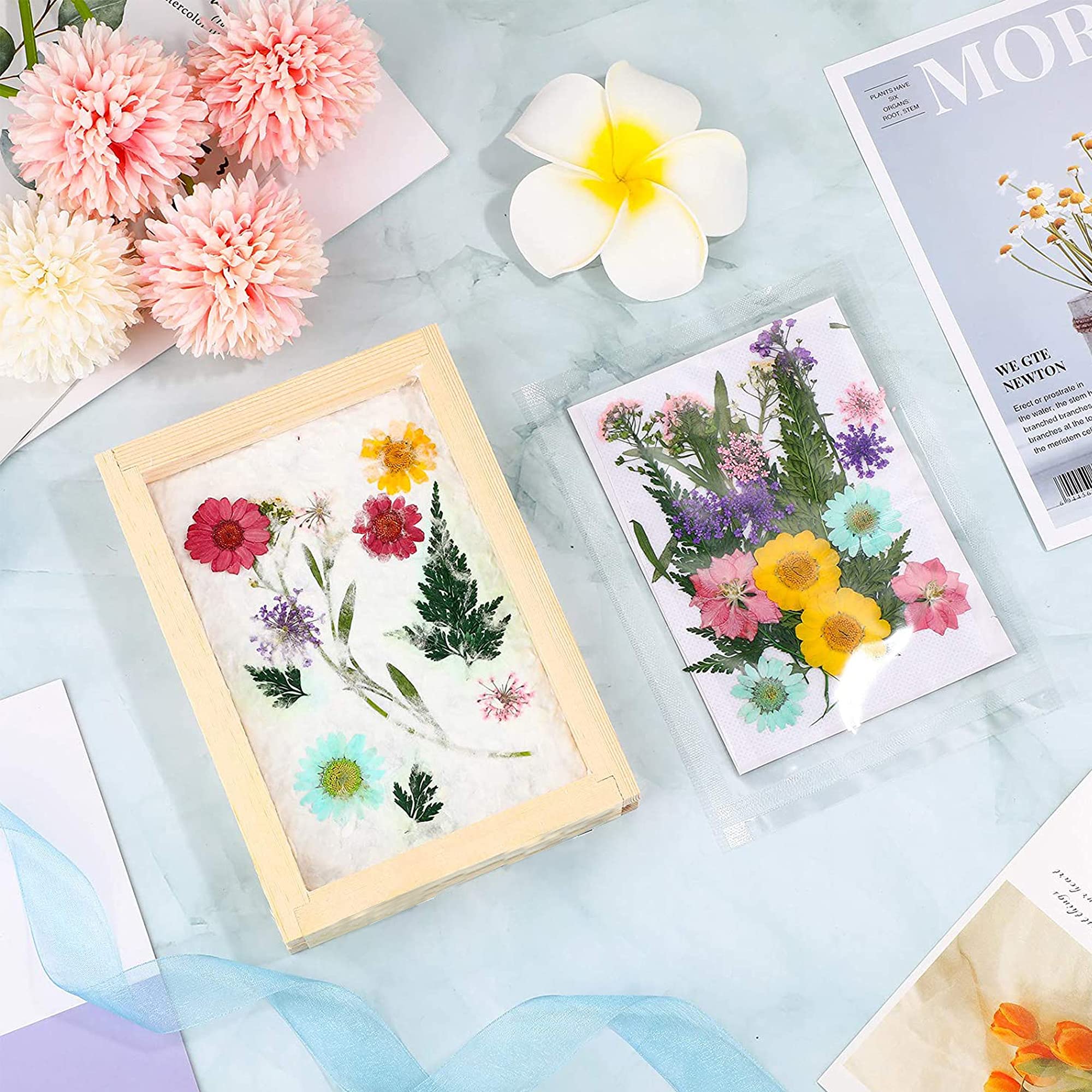 Cayway kit fabrication papier 9 pièces 3 cadres bois fleurs séchées