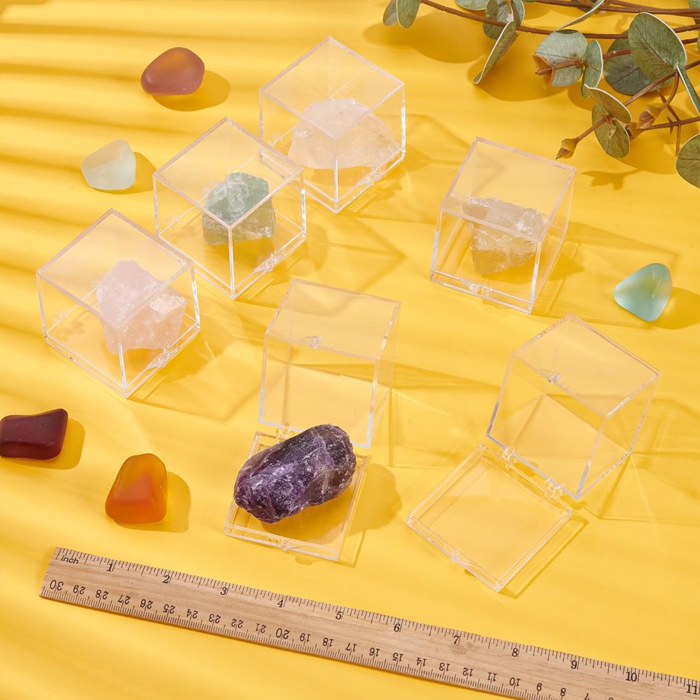 BENECREAT boîte spécimen plastique 51 mm 6 pcs transparente