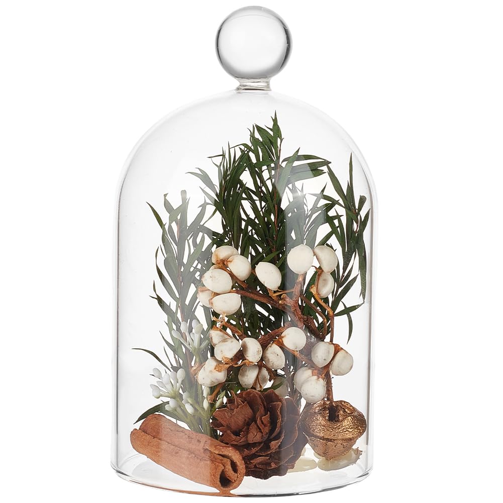 BENECREAT Cloche en Verre 91x145mm Dôme Décoratif Transparent