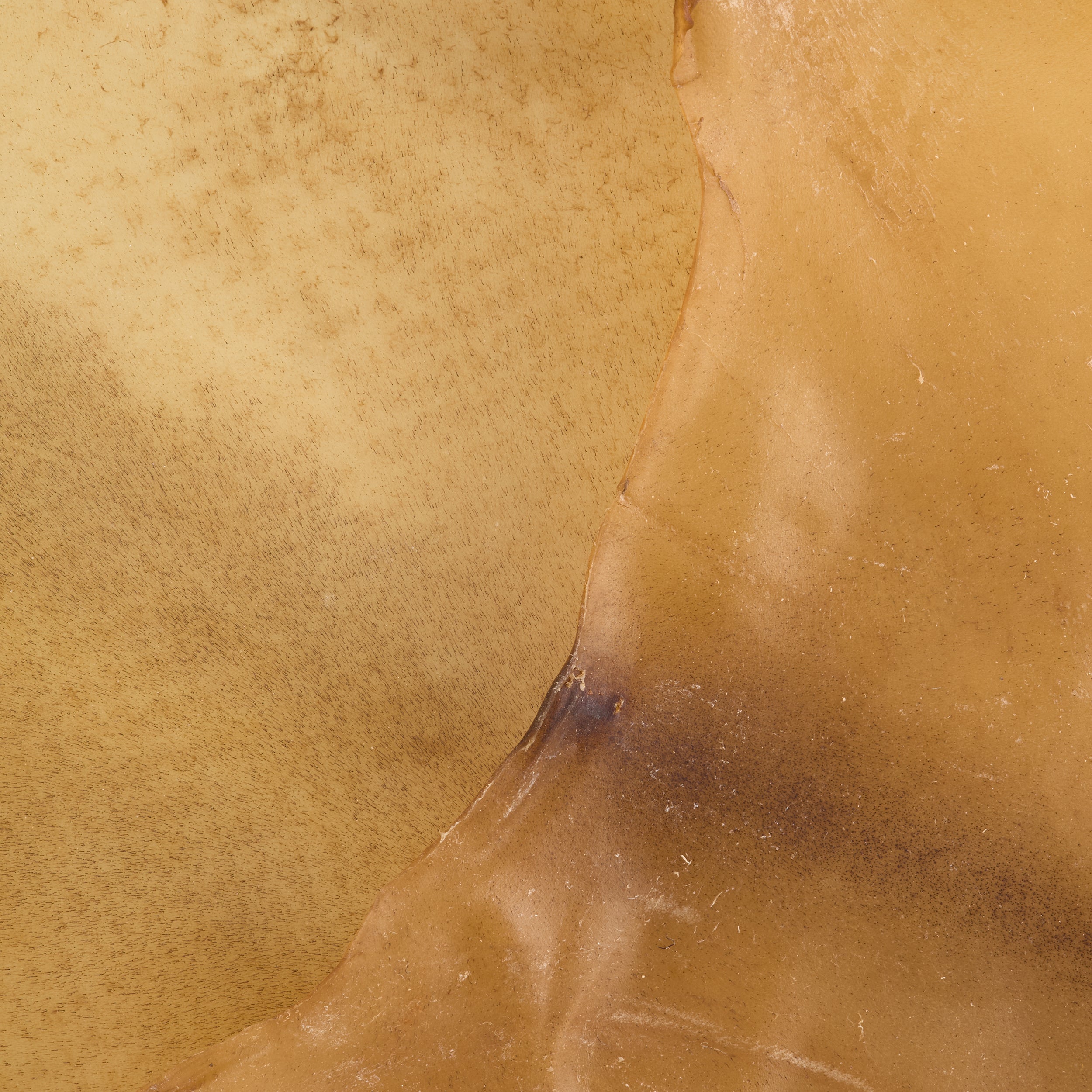 Tandy Leather peau brute de chèvre naturelle 6-8 pi²