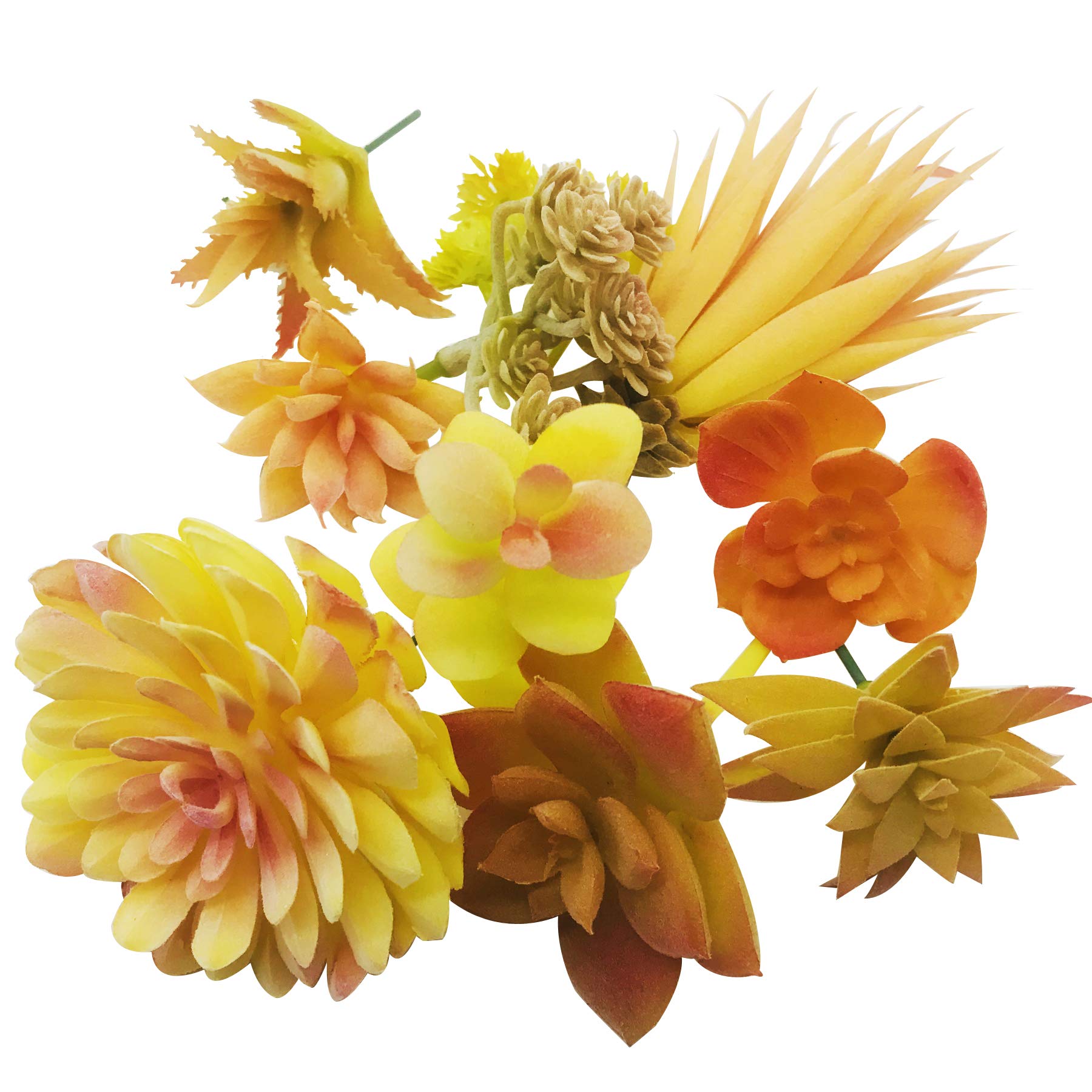 Cayway Plante Succulente Artificielle Jaune 10 Pièces Déco