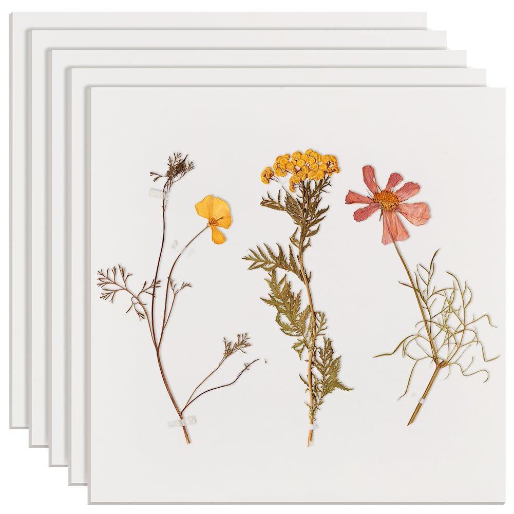 BENECREAT Papier Buvard Pressage Fleurs 5pcs 266x266mm