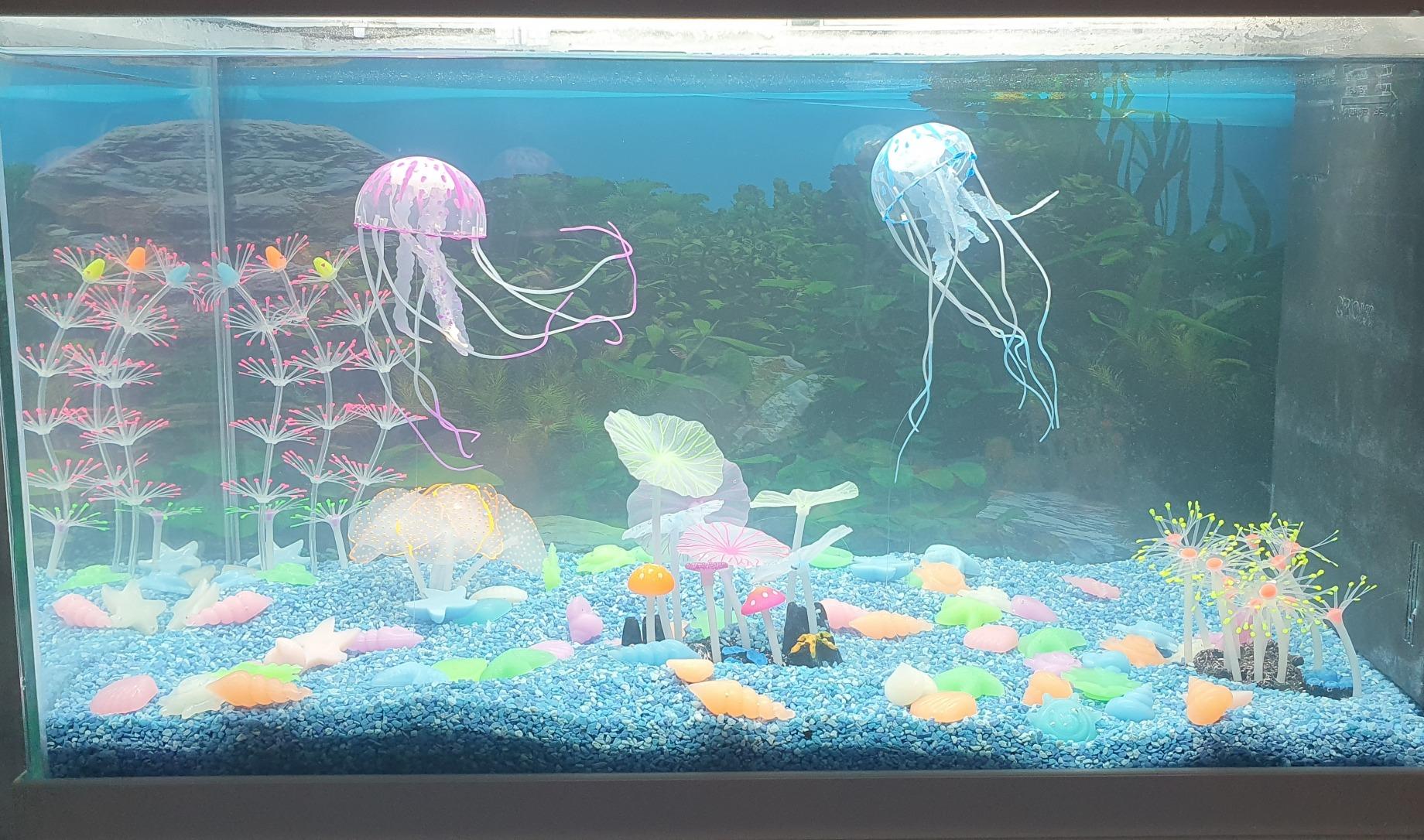 Cayway décor aquarium silicone lot 6 méduse