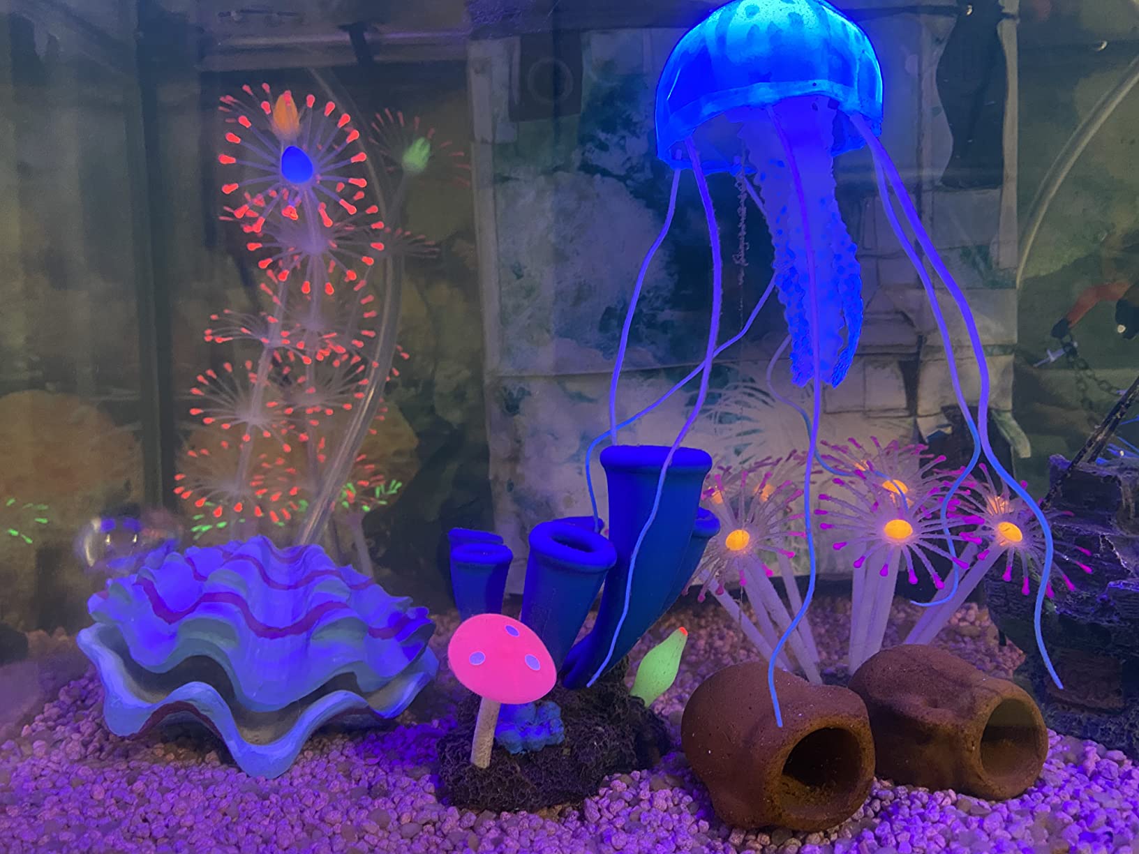Cayway décor aquarium silicone lot 6 méduse