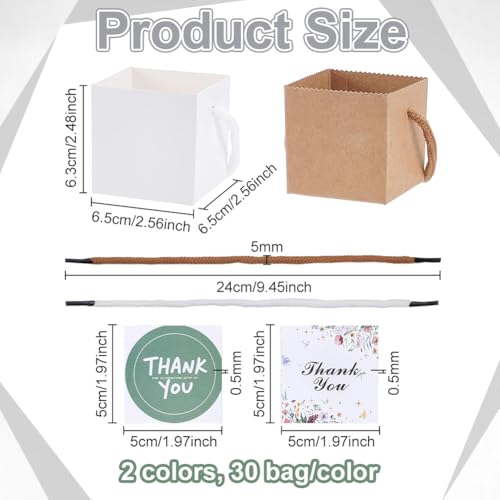 BENECREAT sachet cadeau succulente 65mm 2 couleurs lot 60