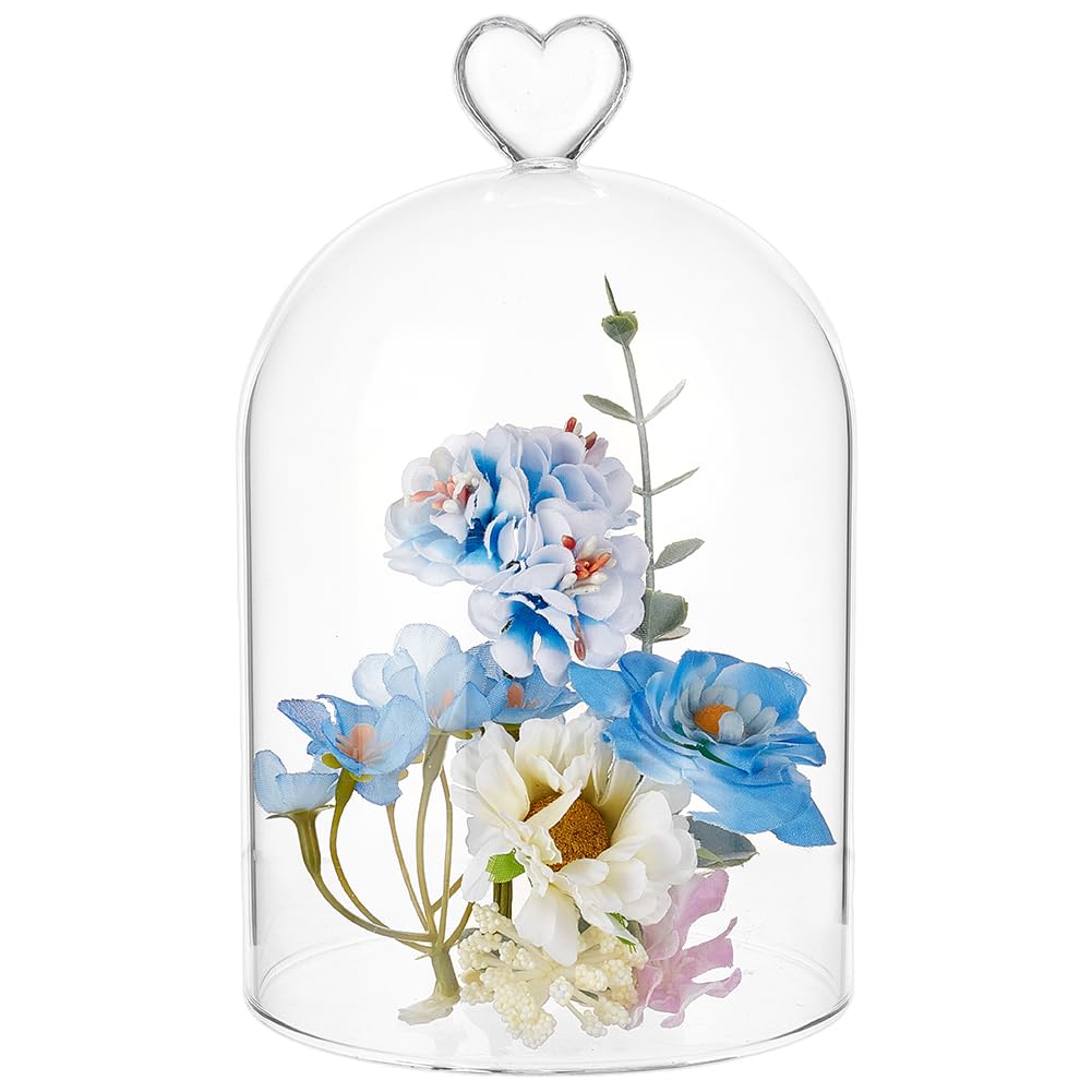 BENECREAT Cloche en Verre 91x145mm Dôme Décoratif Transparent