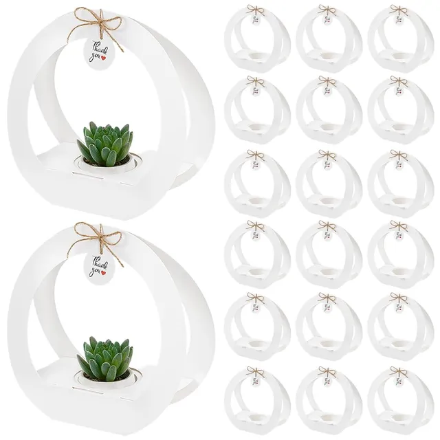 BENECREAT Boîtes Plantes Succulentes Blanc Lot 24