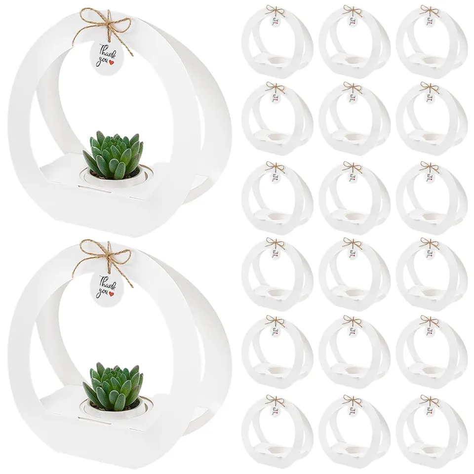BENECREAT Boîtes Plantes Succulentes Blanc Lot 24