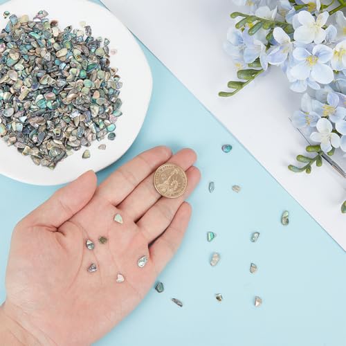 BENECREAT Éclats de Nacre d'Ormeau 100g Incrustation Irisée