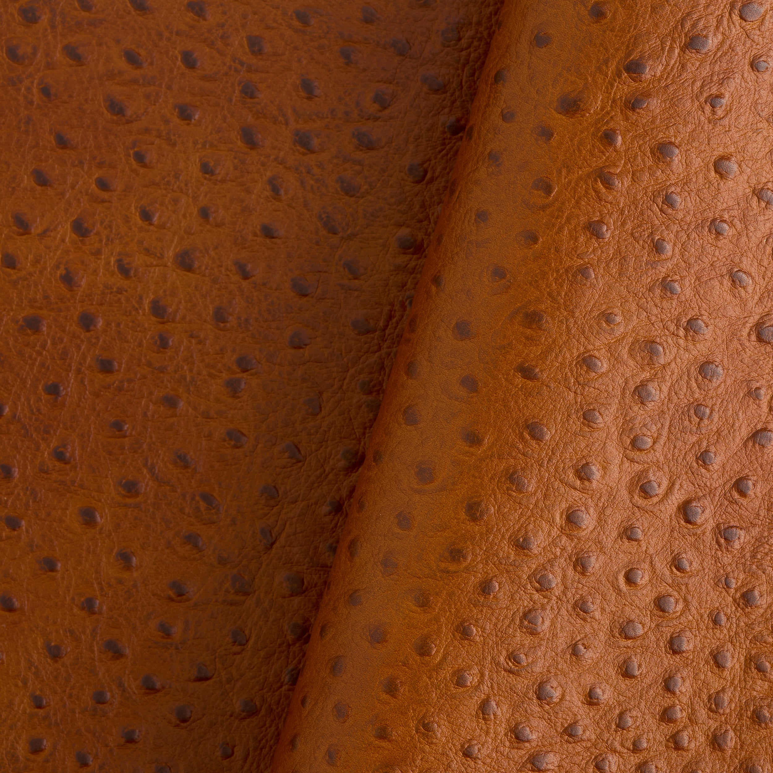 Tandy Leather épaule cuir autruche gaufré turquoise 5-8,5 pi²
