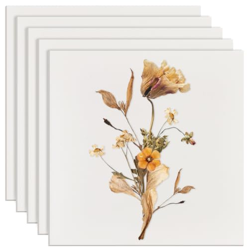 BENECREAT Papier Buvard Pressage Fleurs 5pcs 266x266mm