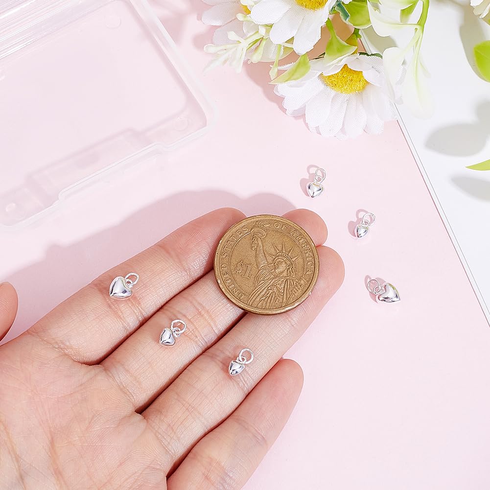 BENECREAT 925 Breloques Cœur Argent 6 Pièces 3D