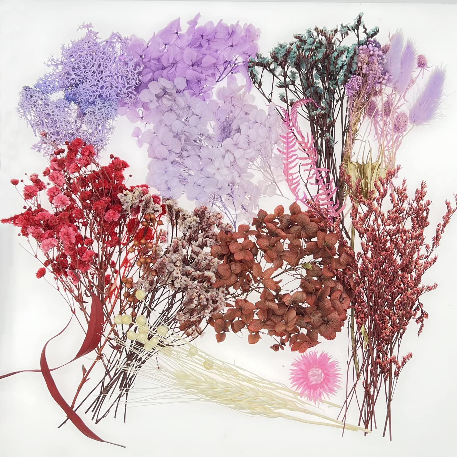 Cayway fleurs séchées résine 2 boîtes violettes