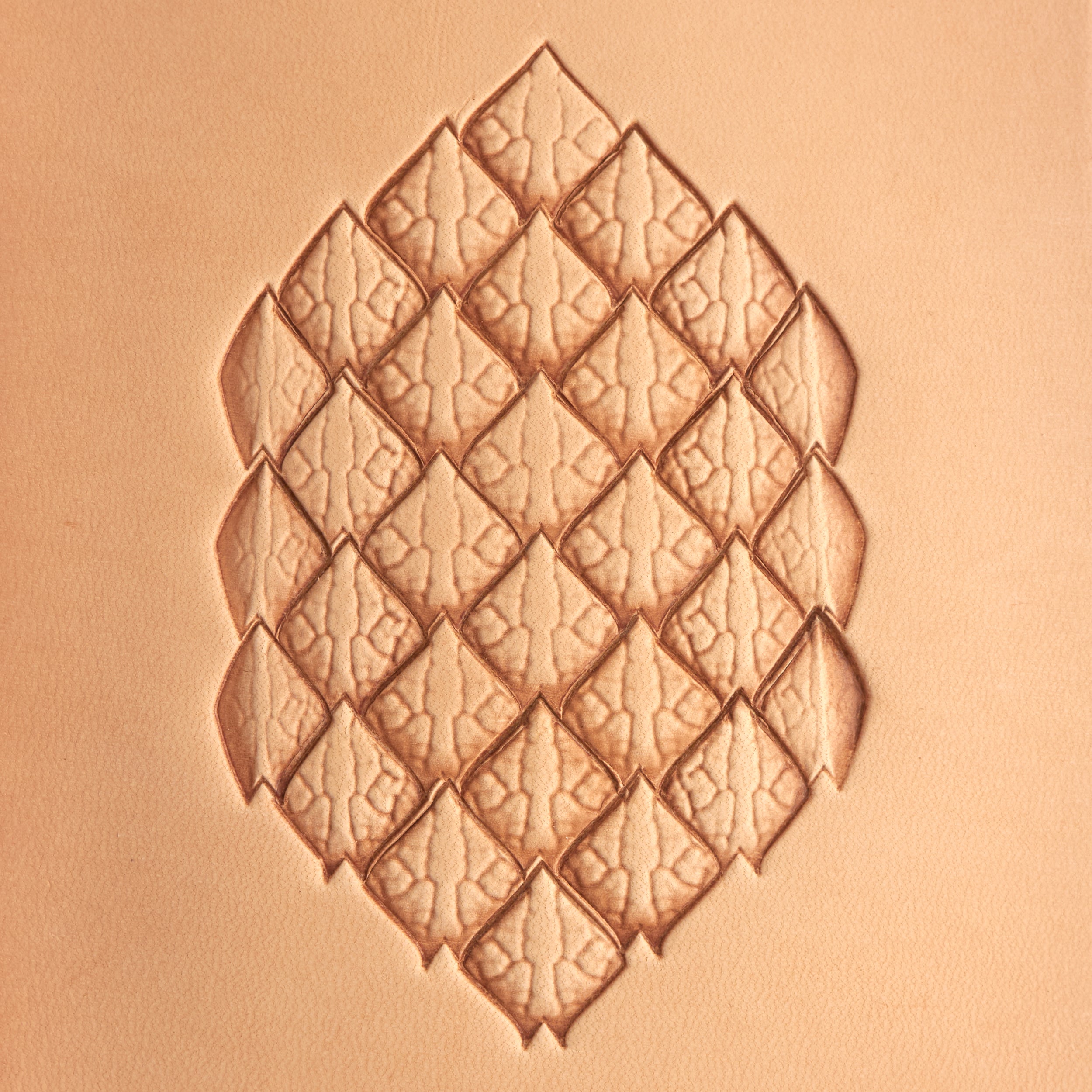 Craftool jeu 6 timbres rotatifs écailles de dragon cuir