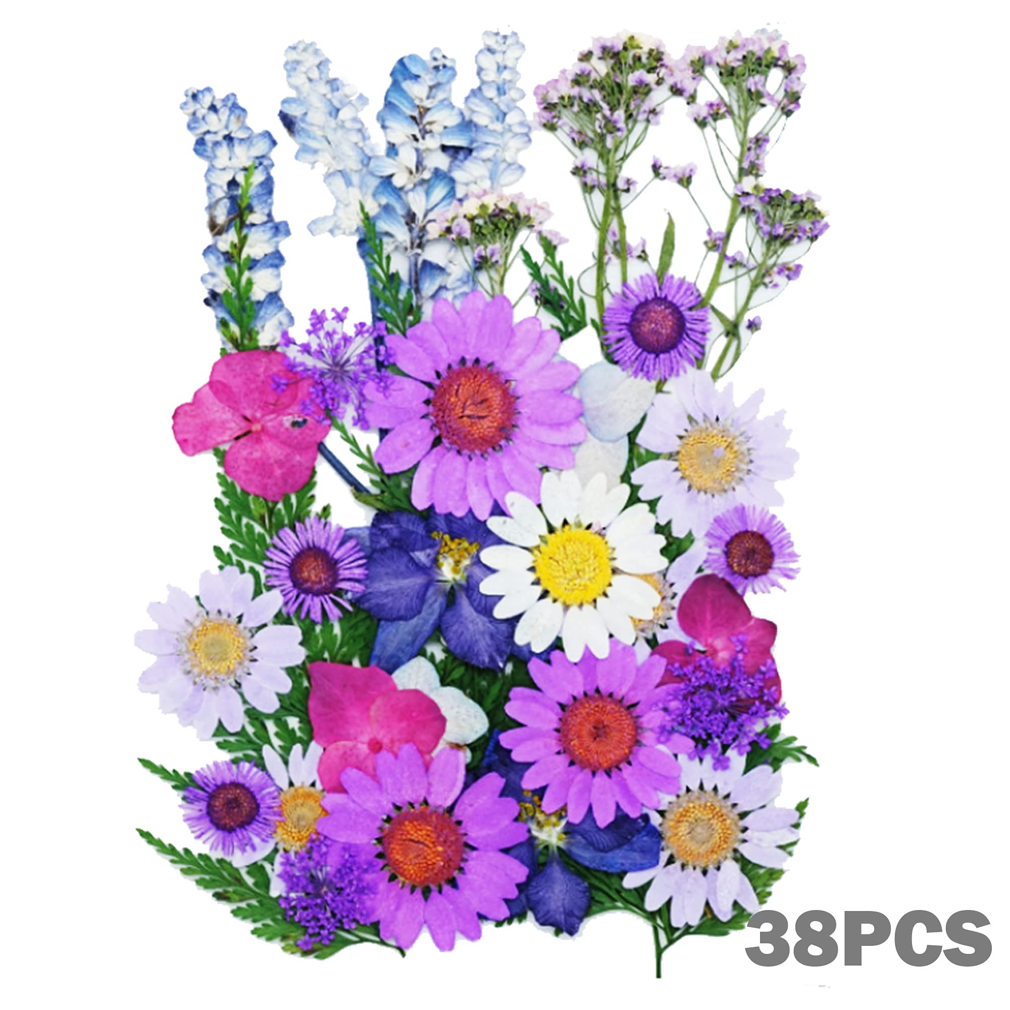 Cayway Fleurs Séchées Pressées Vert 160 Pièces Résine