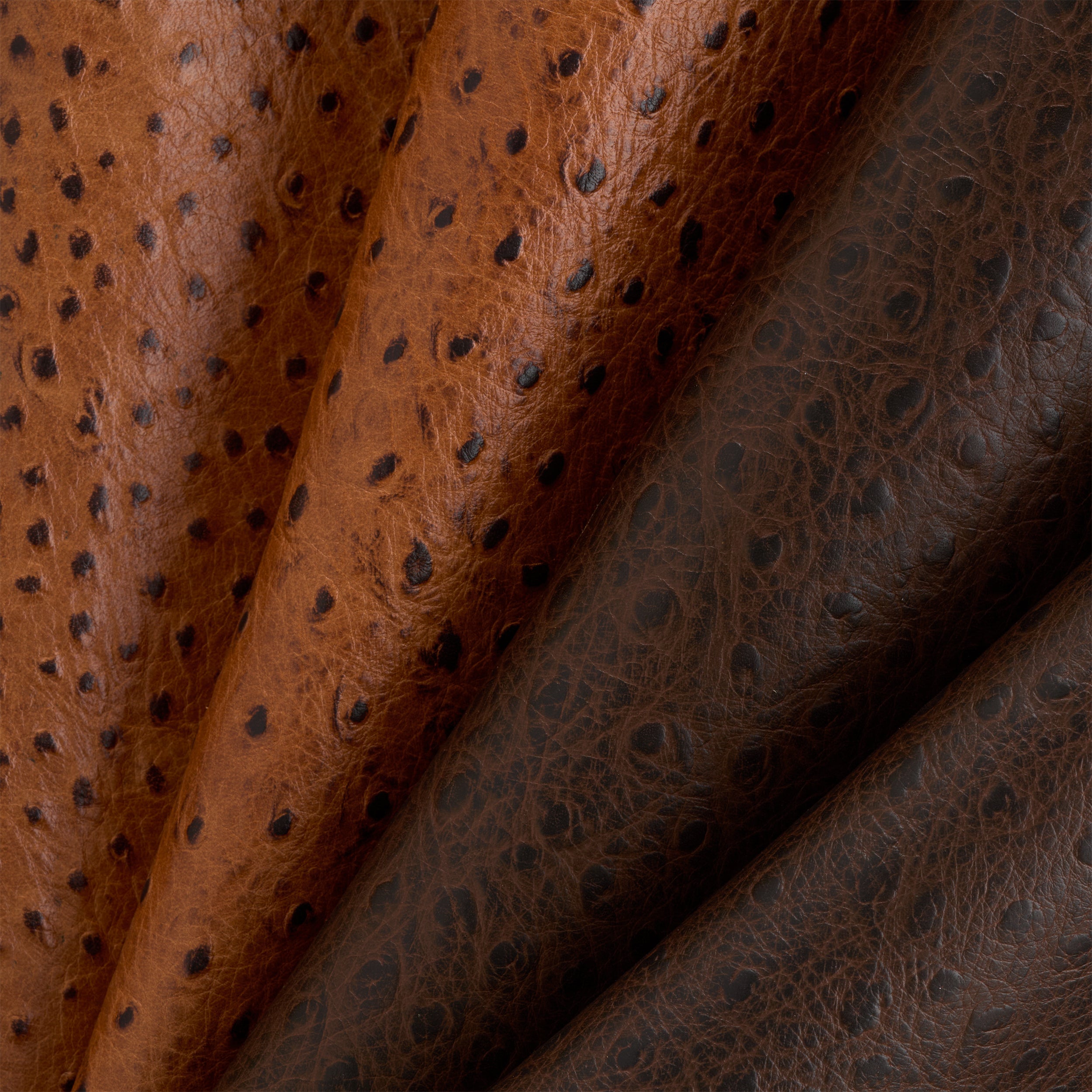 Tandy Leather côté cuir imprimé autruche marron foncé
