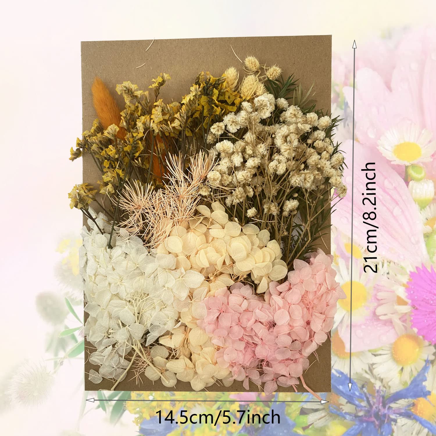 Cayway Fleurs Séchées Pressées Naturelles Mélange Bougie Déco