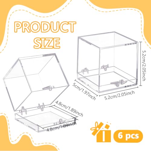BENECREAT boîte spécimen plastique 51 mm 6 pcs transparente