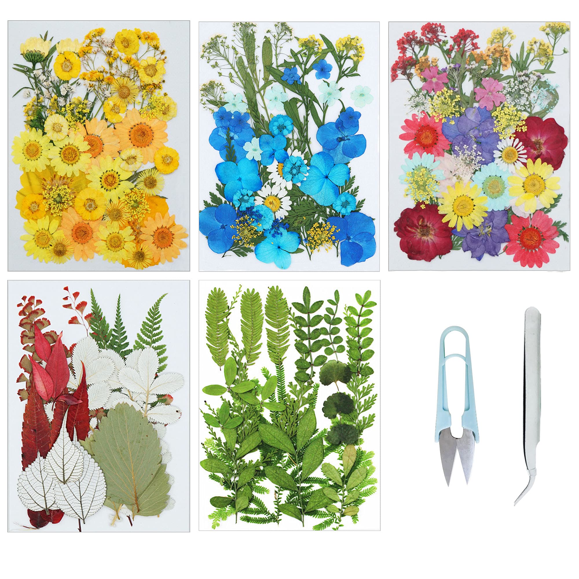 Cayway Fleurs Séchées Pressées Vert 160 Pièces Résine