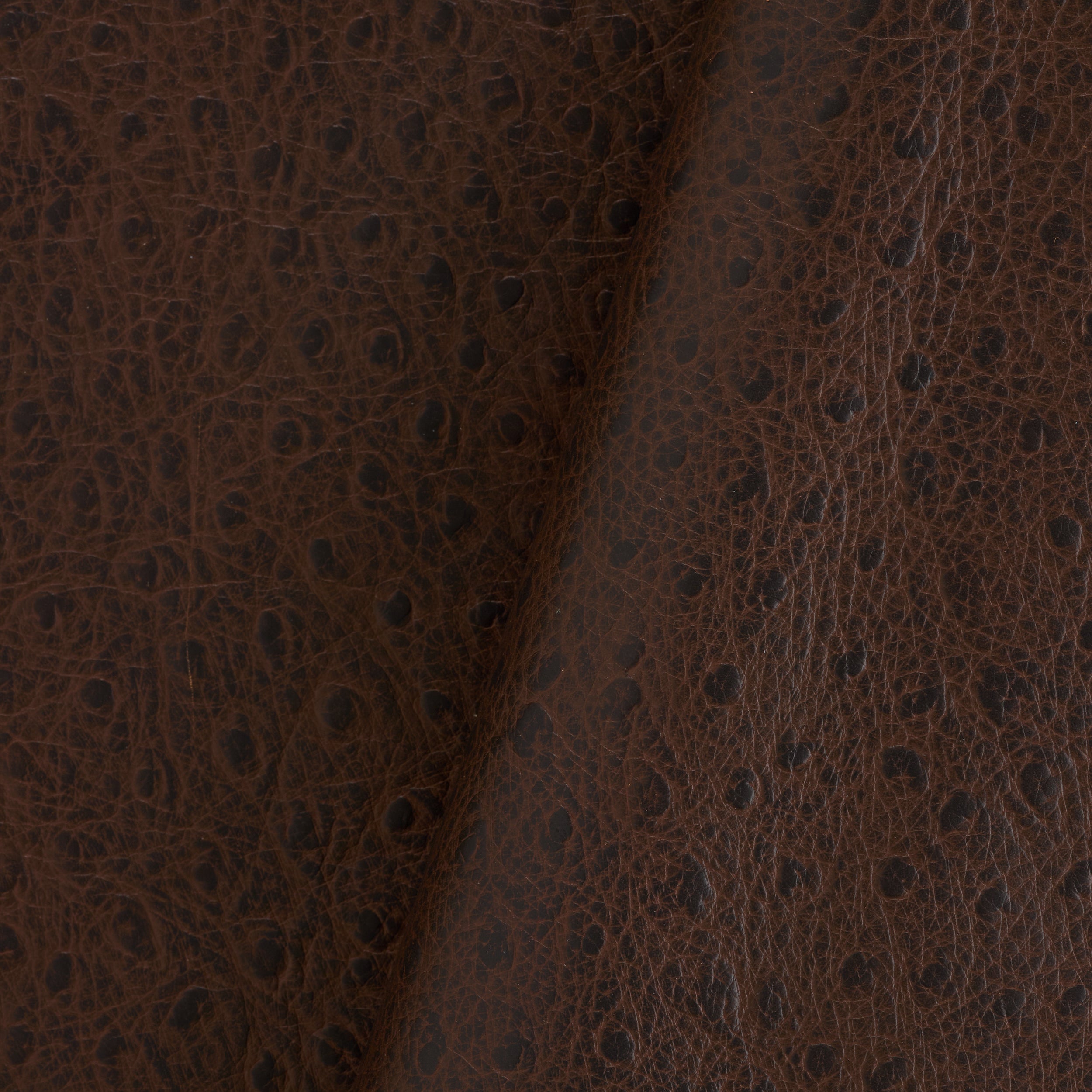 Tandy Leather côté cuir imprimé autruche marron foncé