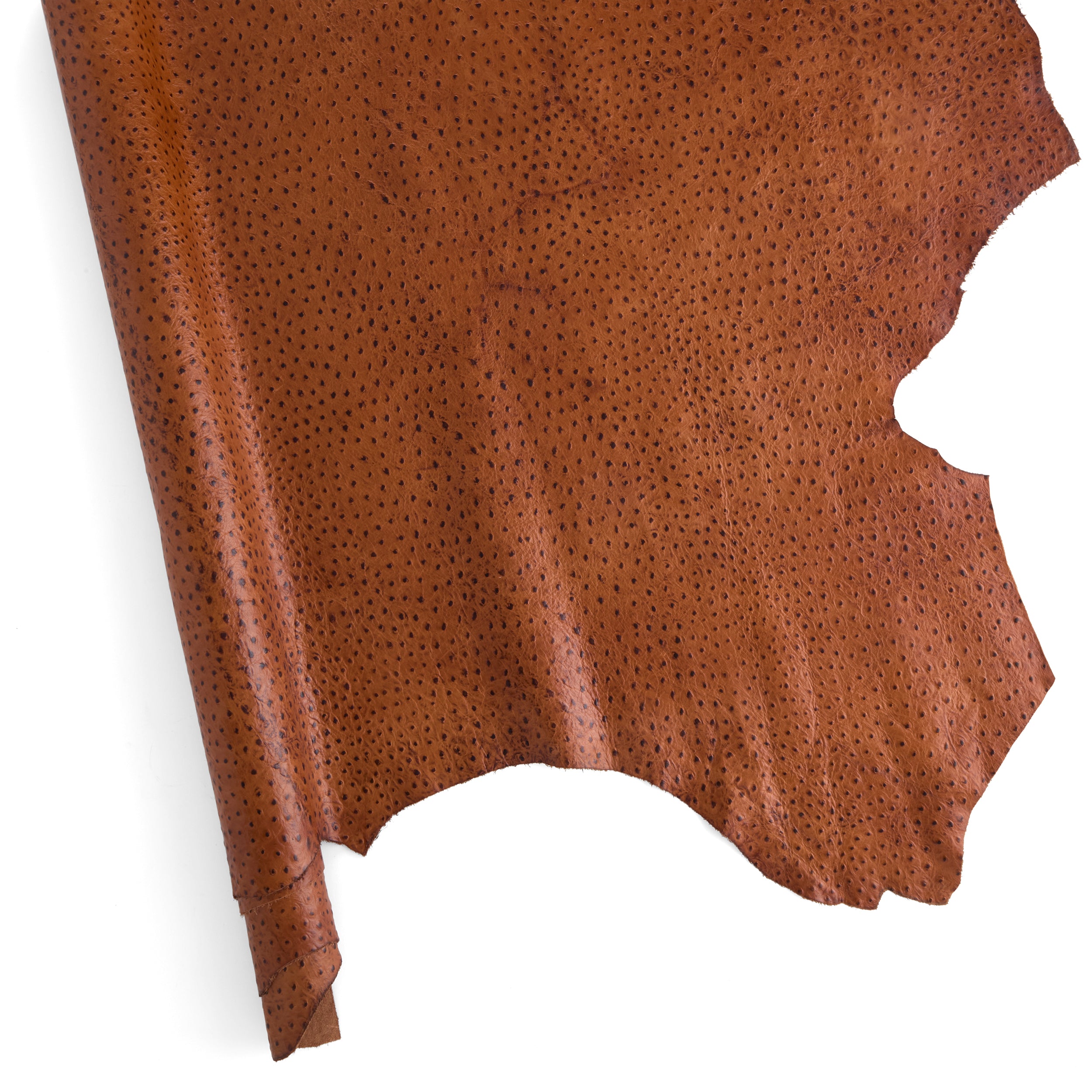 Tandy Leather côté cuir imprimé autruche marron foncé