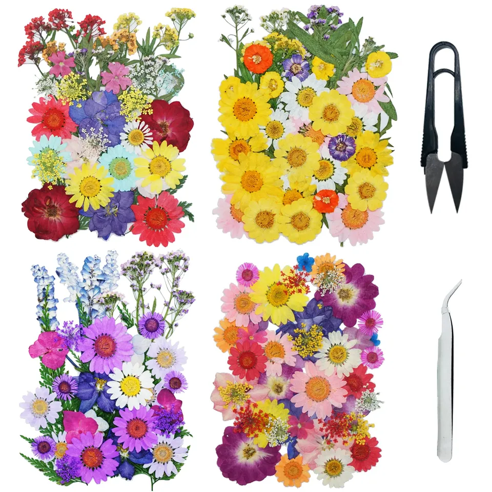 Cayway Fleurs Séchées Pressées Vert 160 Pièces Résine