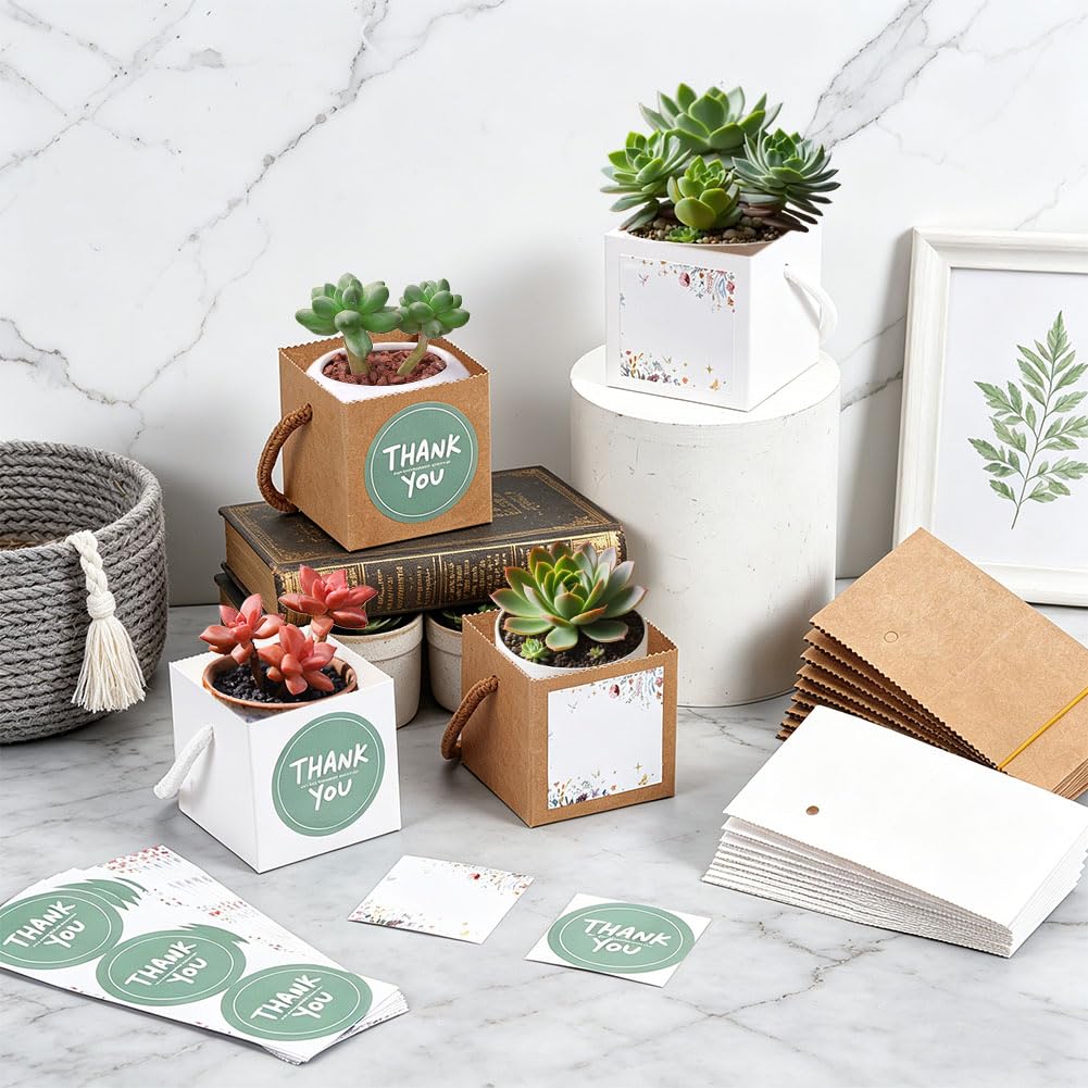 BENECREAT sachet cadeau succulente 65mm 2 couleurs lot 60