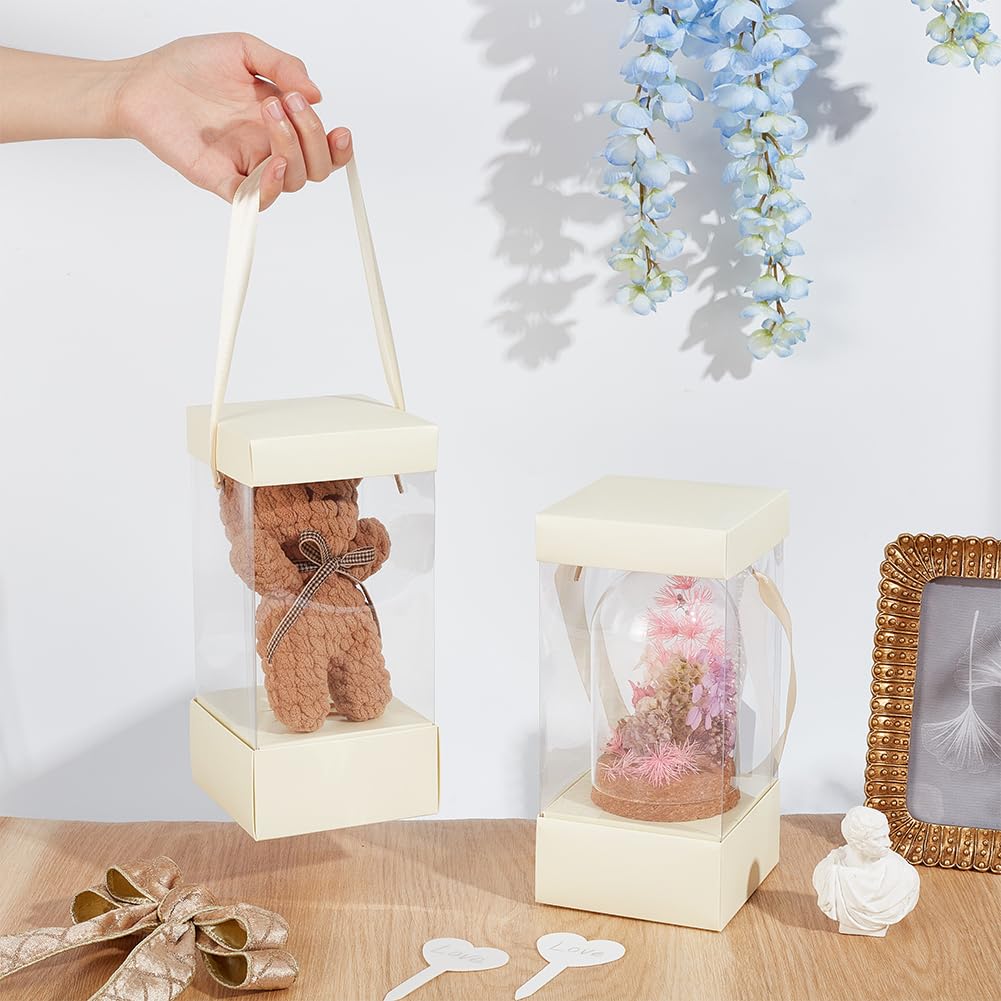 BENECREAT boîtes cadeau transparentes beiges lot 10