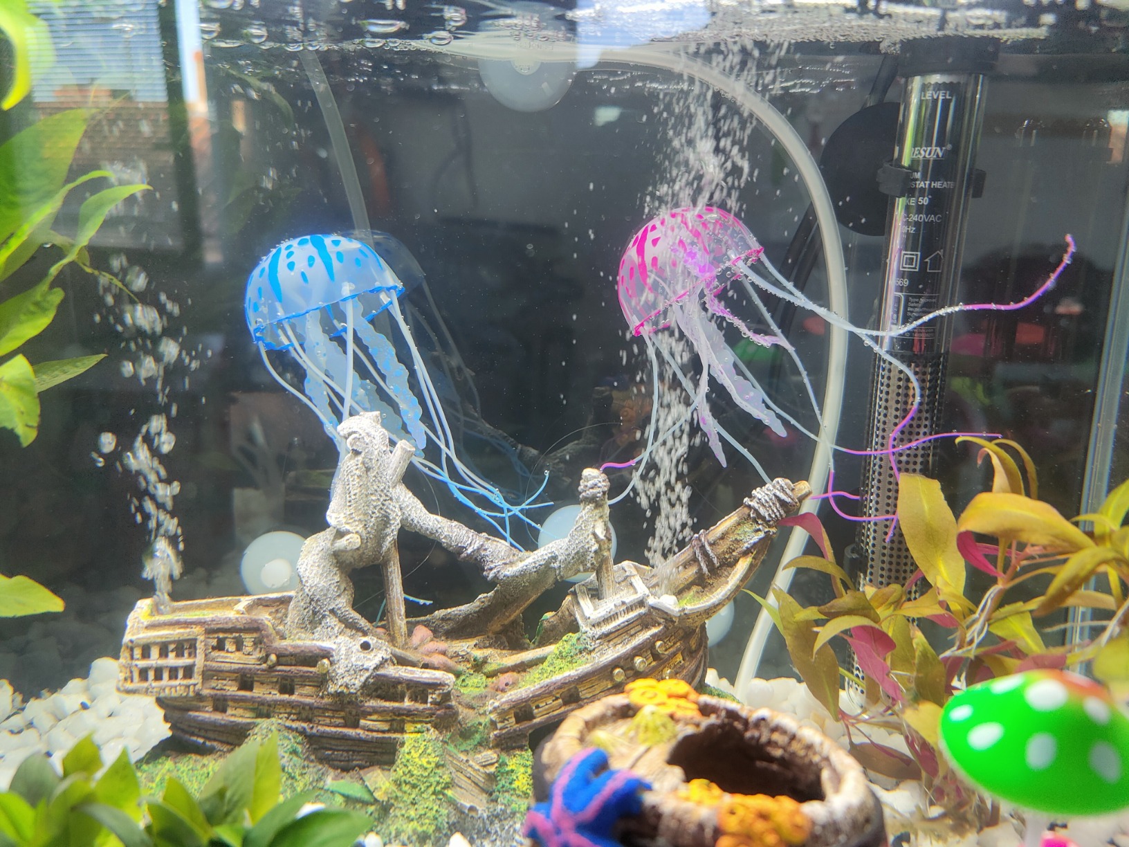 Cayway décor aquarium silicone lot 6 méduse
