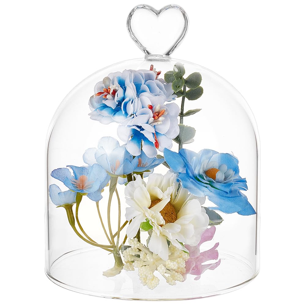 BENECREAT Cloche en Verre 91x145mm Dôme Décoratif Transparent