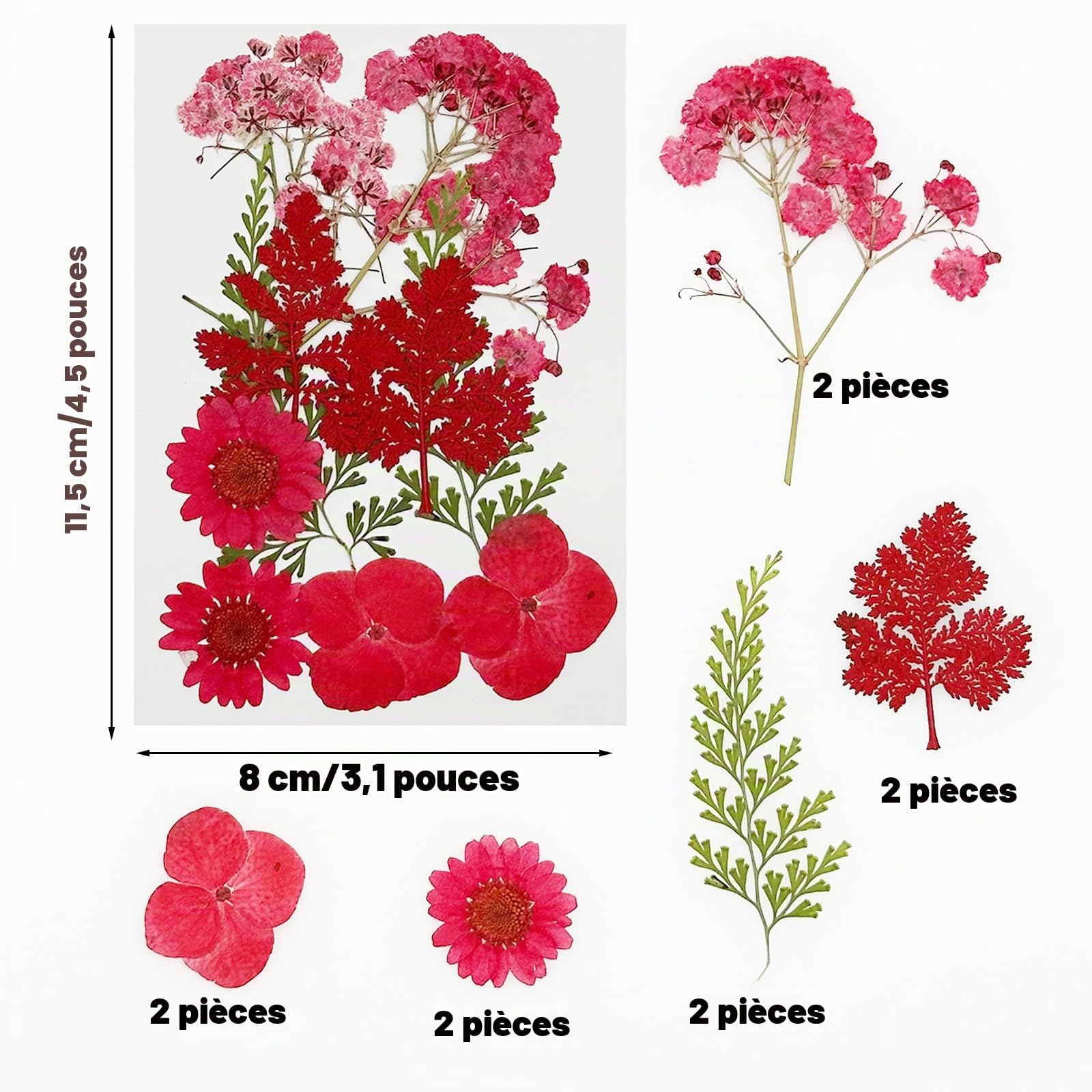 Cayway Fleurs Séchées Pressées Rouges 40 Pcs Résine