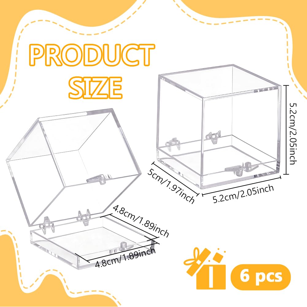 BENECREAT boîte spécimen plastique 51 mm 6 pcs transparente