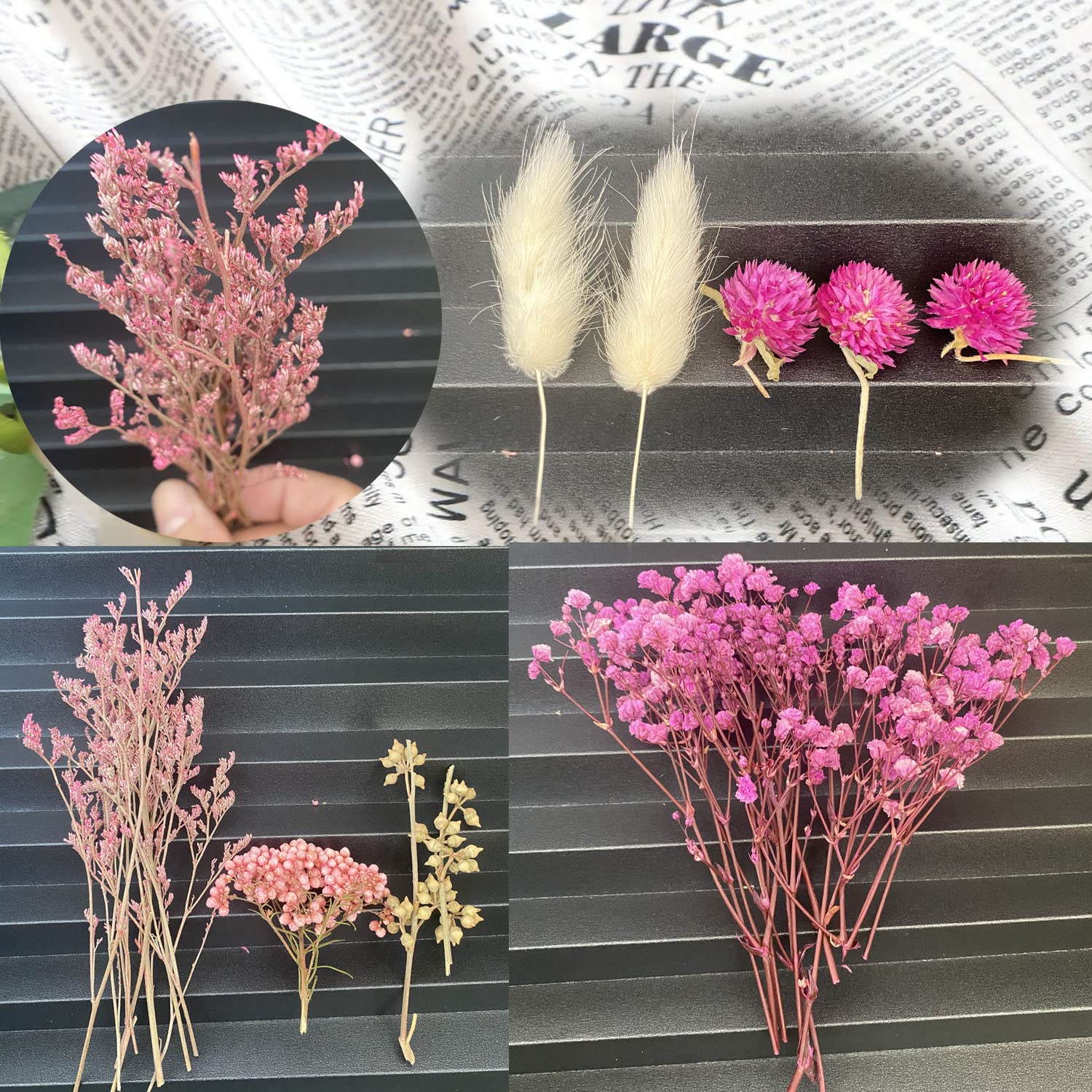 Cayway Fleurs Séchées Résine Violet Rose Blanc Naturelles