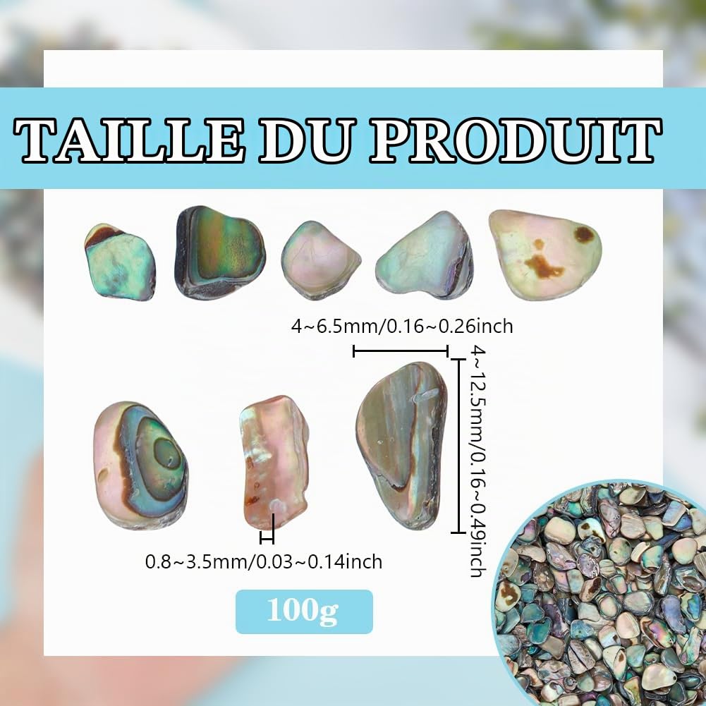 BENECREAT Éclats de Nacre d'Ormeau 100g Incrustation Irisée
