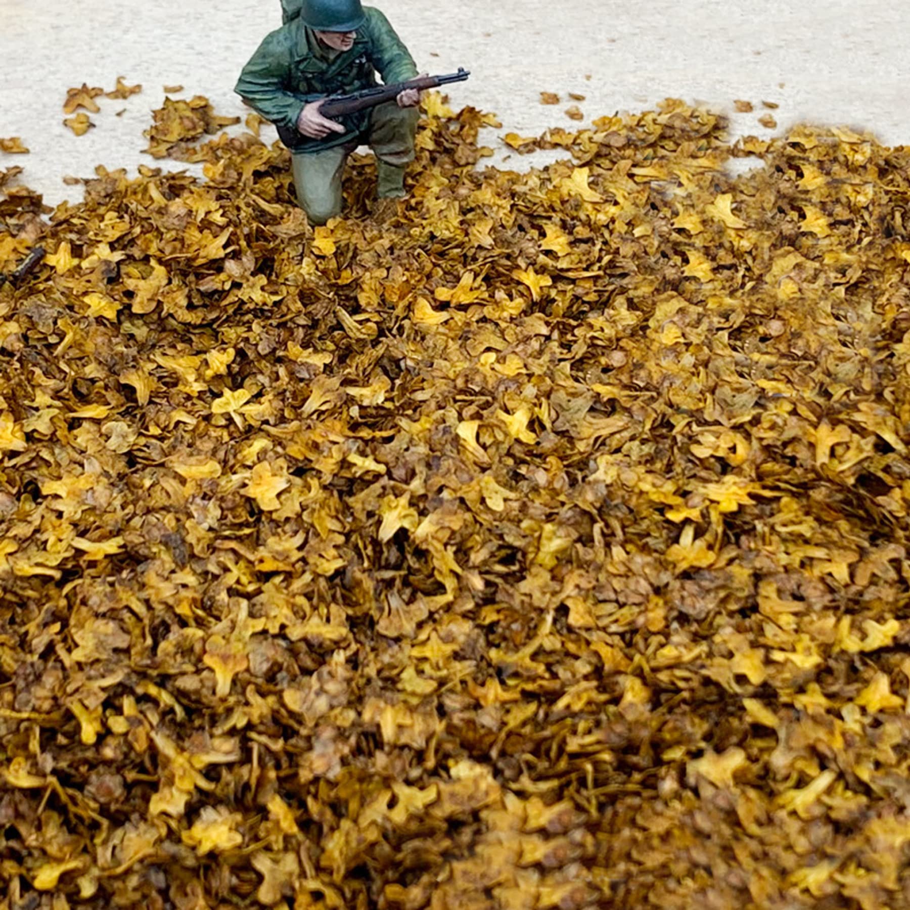 Cayway Feuilles Miniature Diorama 4 Couleurs 33ml