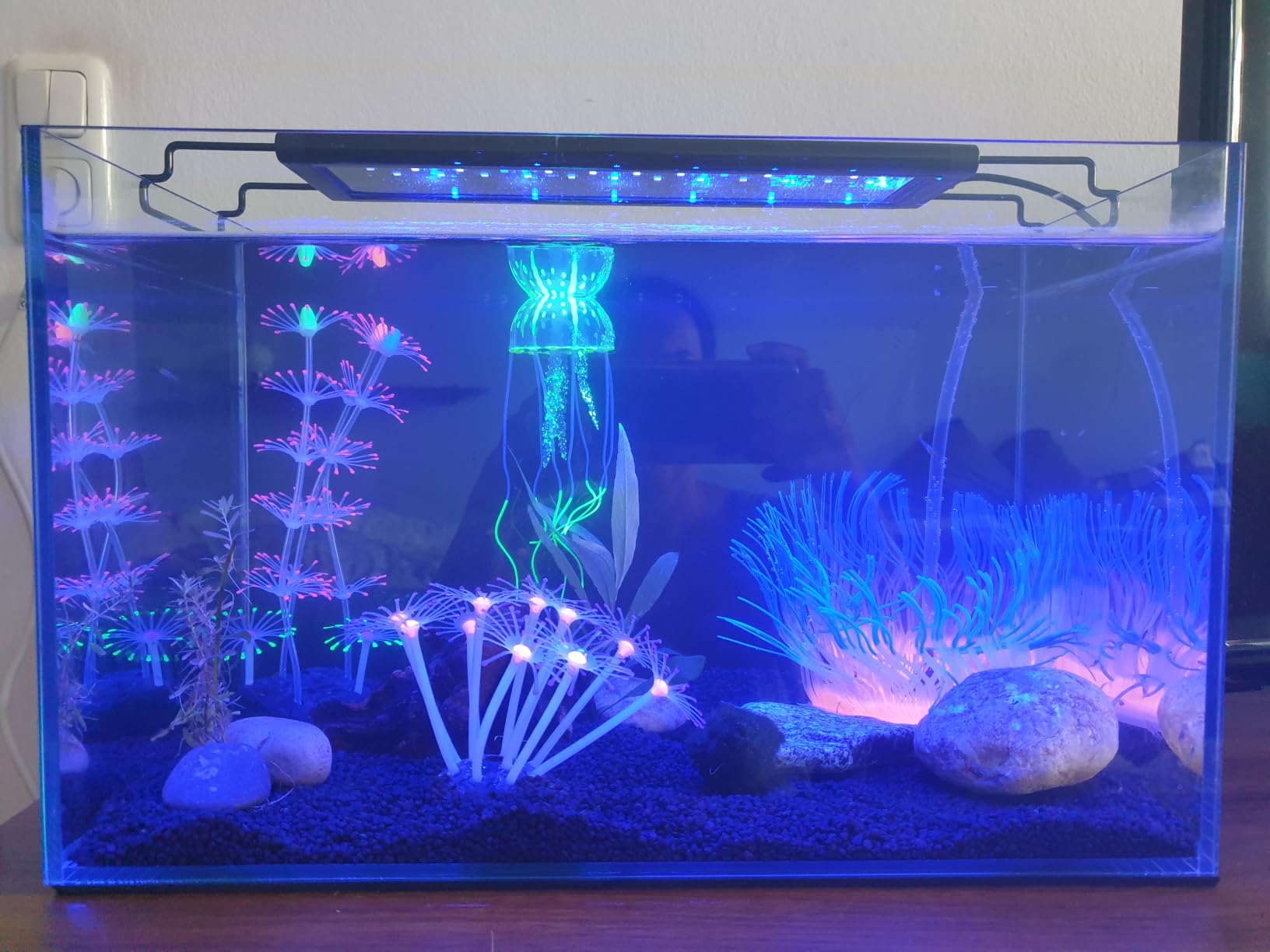 Cayway décor aquarium silicone lot 6 méduse