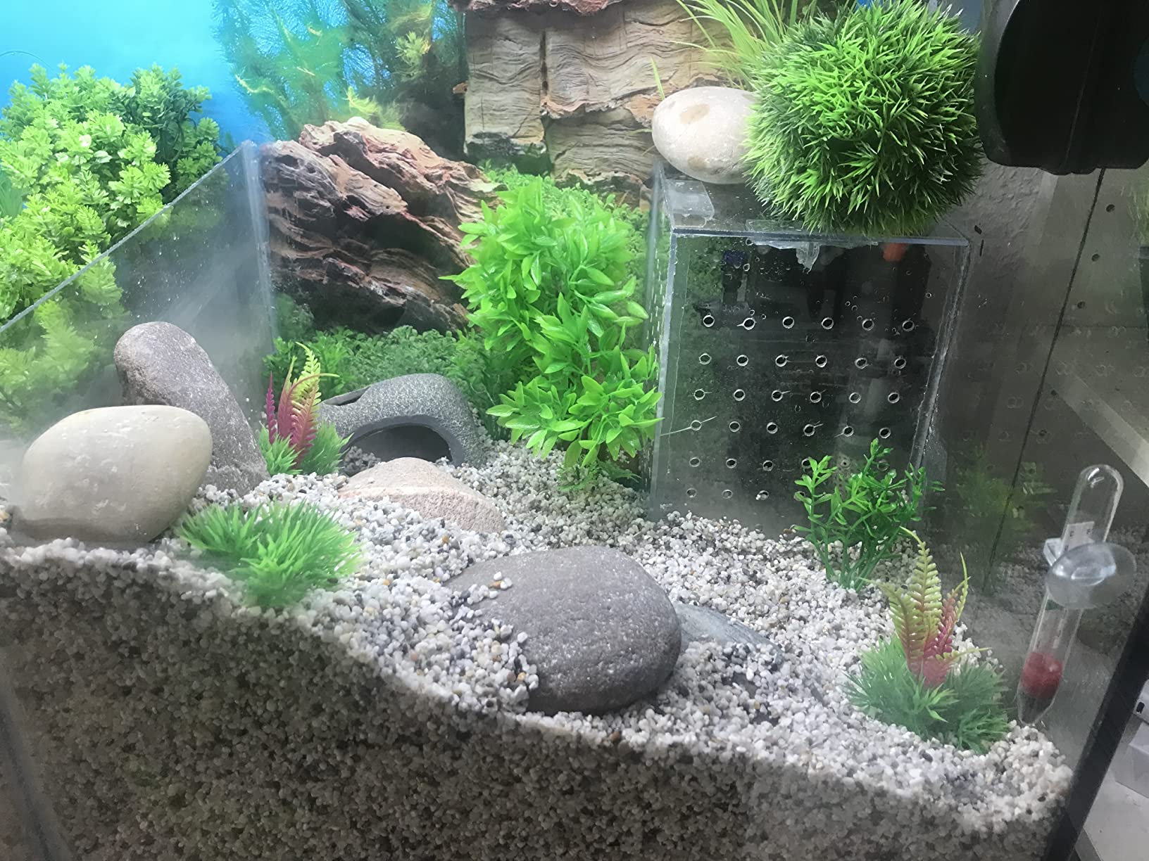 Cayway Plantes Artificielles Aquarium 27 pcs 7-18 cm