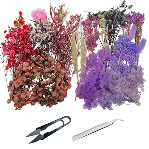 Cayway fleurs séchées résine 2 boîtes violettes