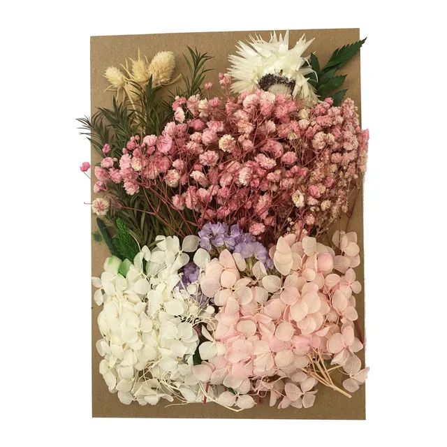 Cayway Fleurs Séchées Naturelles pour Résine Déco