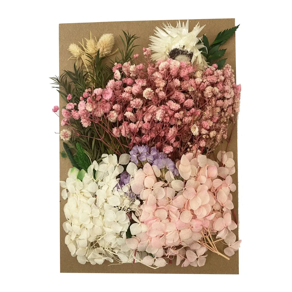 Cayway Fleurs Séchées Naturelles pour Résine Déco