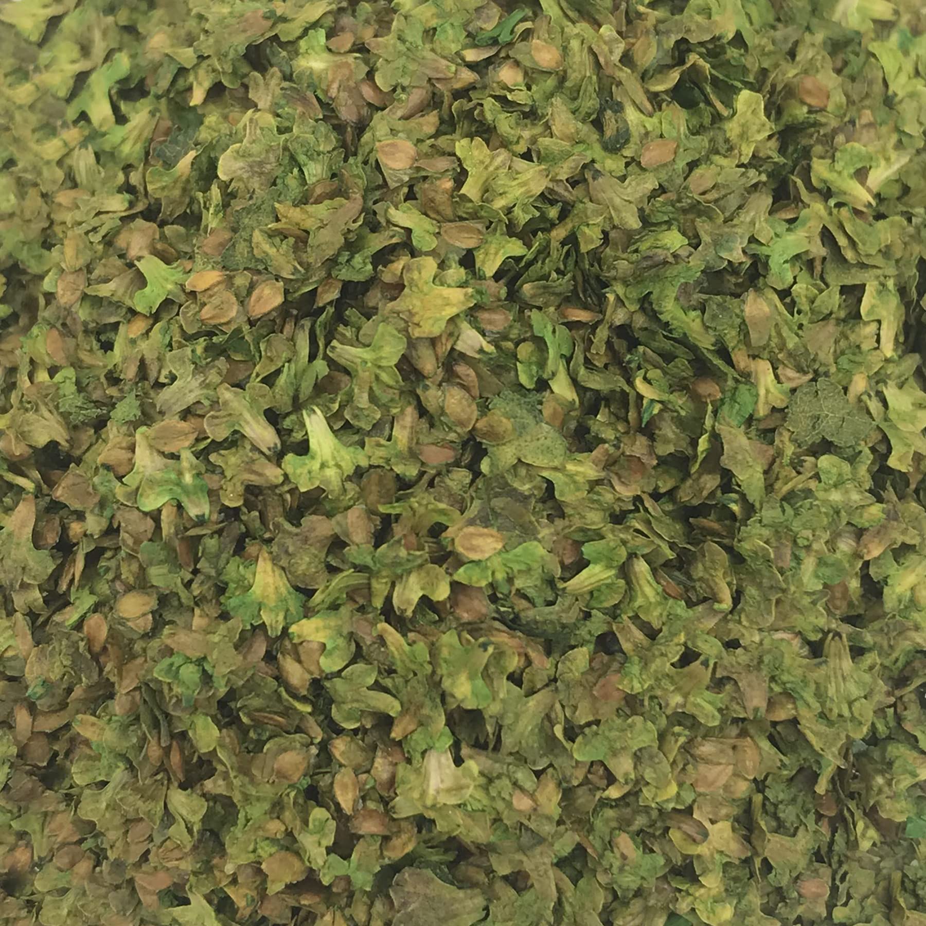 Cayway Feuilles Miniature Diorama 4 Couleurs 33ml
