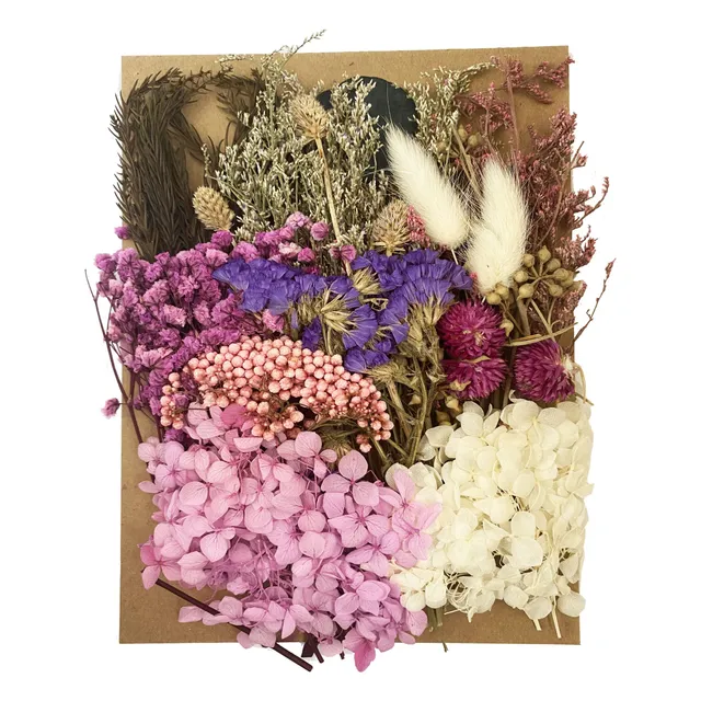 Cayway Fleurs Séchées Résine Violet Rose Blanc Naturelles