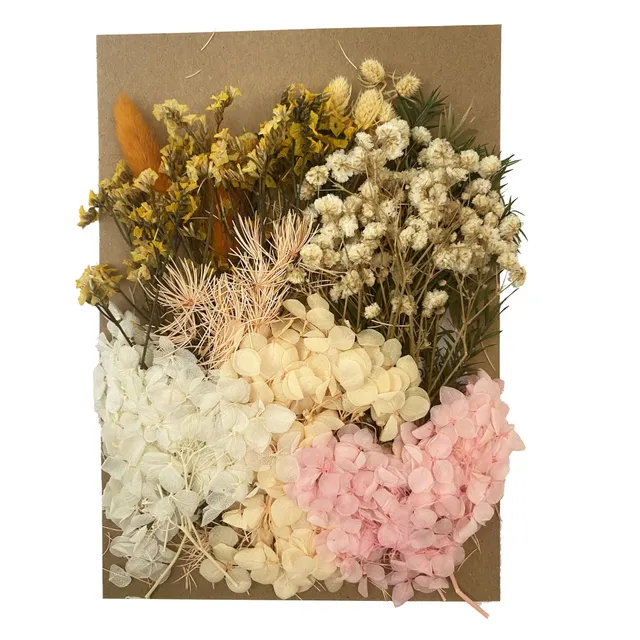 Cayway Fleurs Séchées Pressées Naturelles Mélange Bougie Déco