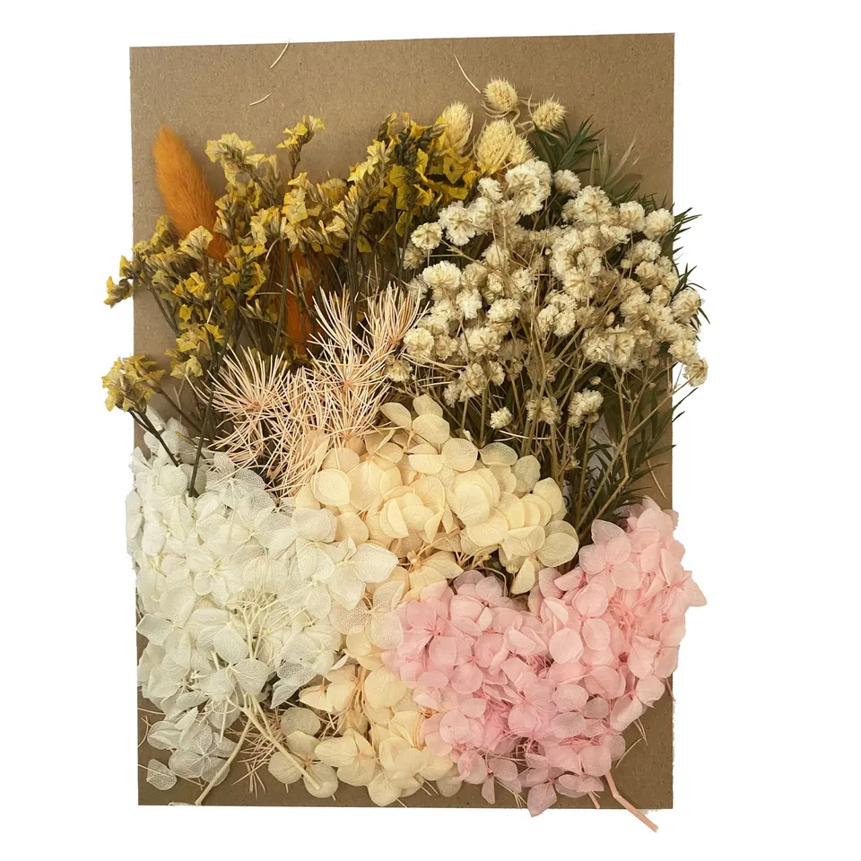 Cayway Fleurs Séchées Pressées Naturelles Mélange Bougie Déco