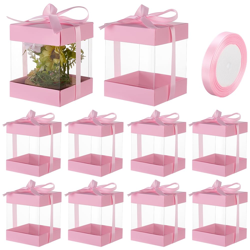 BENECREAT Boîte Cadeau Plastique Transparent Bleu Clair 10pcs 9x9x11cm